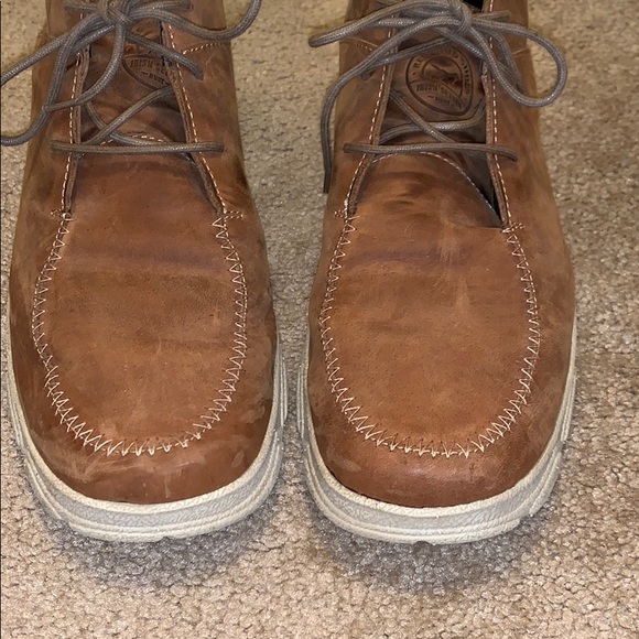 irish setter traveler chukka